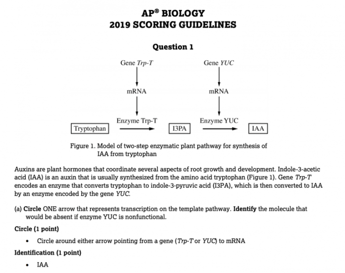 Ap bio 2013 frq answers