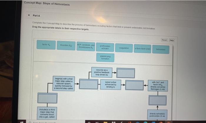 Concept map steps of hemostasis