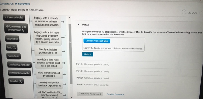 Hemostasis system nursing physiology intranet ua tdmu edu