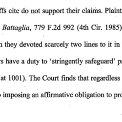 Spivey v battaglia case brief