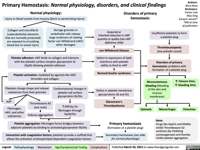 Concept map steps of hemostasis