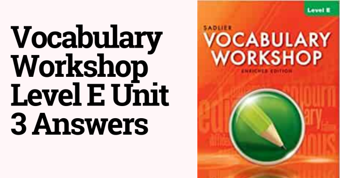 Vocabulary workshop level e unit 13