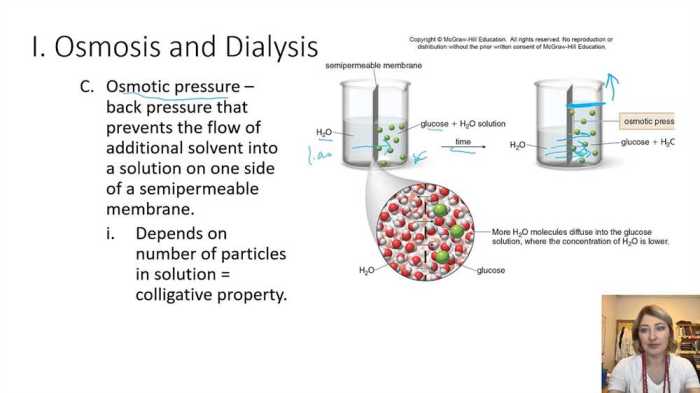 Ap bio diffusion and osmosis lab answers