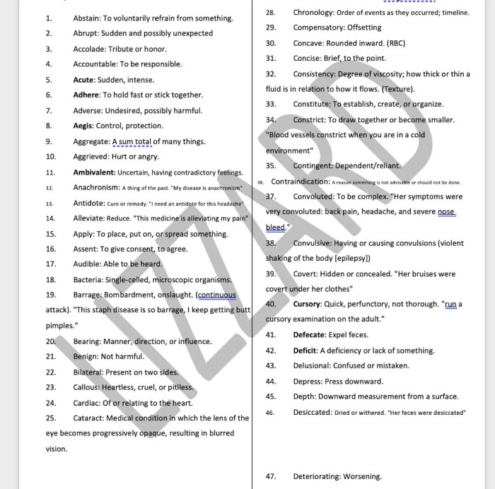 Hesi a2 practice test vocabulary