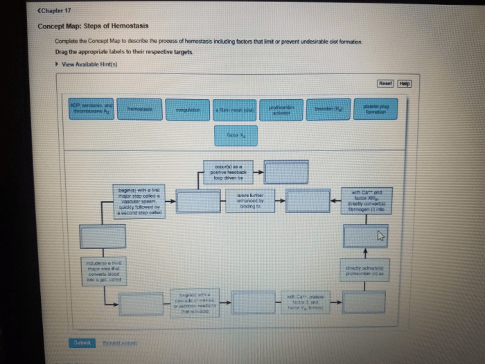 Test algorithm hemostasis diagnostic screening eclinpath lab laboratory medical approach screen nursing evaluation tests