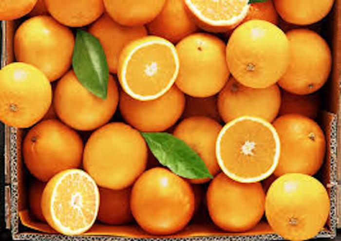 Price of oranges per pound