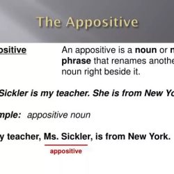 How do you diagram an appositive