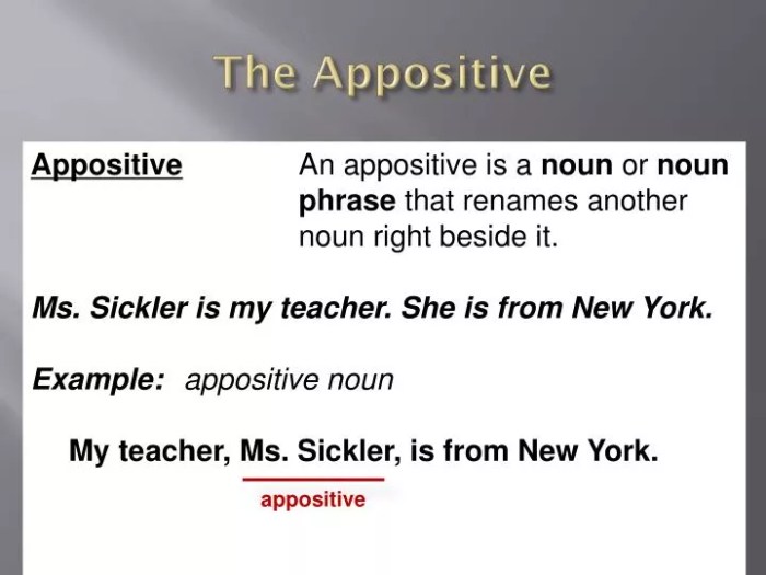 How do you diagram an appositive