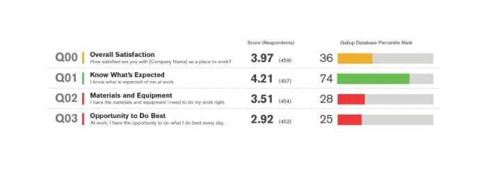 Gallup strengthsfinder