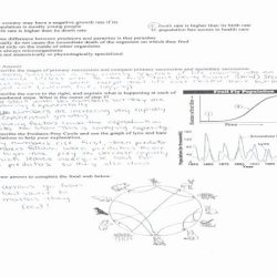 Ecological relationships worksheet answers key