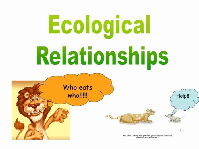 Ecological relationships worksheet answers key